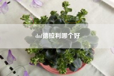 dnf德拉利哪个好