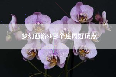 梦幻西游SF哪个庄周好玩点