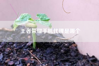 王者荣耀手机代理是哪个