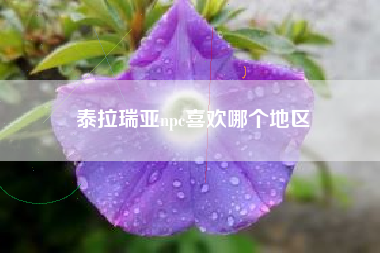 泰拉瑞亚npc喜欢哪个地区