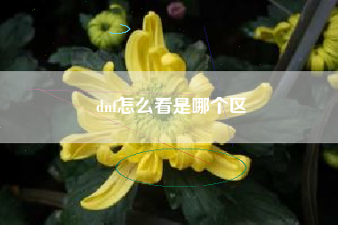 dnf怎么看是哪个区