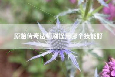 原始传奇法师刷怪用哪个技能好