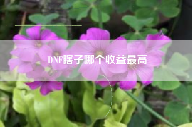 DNF瞎子哪个收益最高