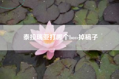 泰拉瑞亚打哪个boss掉稿子