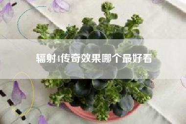 辐射4传奇效果哪个最好看