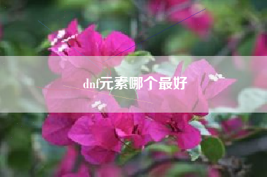 dnf元素哪个最好