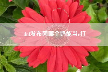 dnf发布网哪个奶能当c打