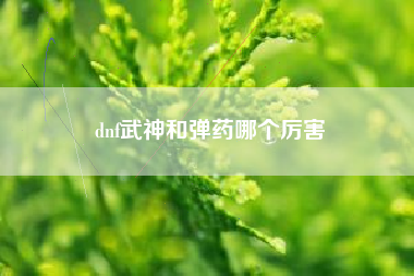 dnf武神和弹药哪个厉害