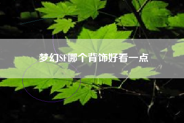 梦幻SF哪个背饰好看一点