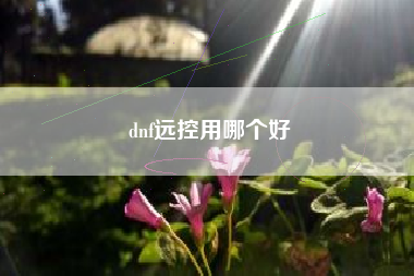 dnf远控用哪个好