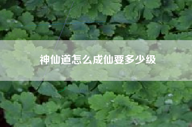 神仙道怎么成仙要多少级