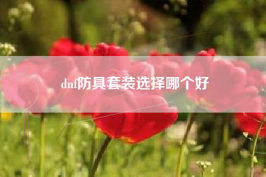 dnf防具套装选择哪个好