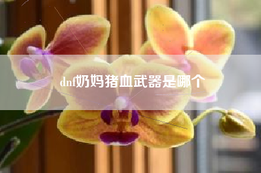 dnf奶妈猪血武器是哪个