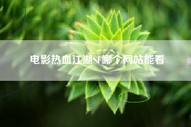 电影热血江湖SF哪个网站能看