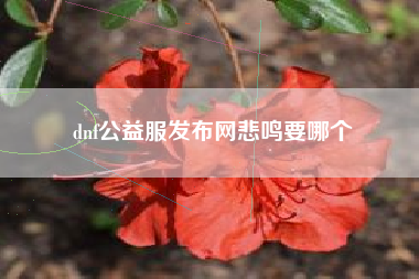 dnf公益服发布网悲鸣要哪个