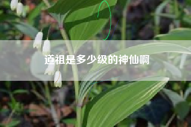 道祖是多少级的神仙啊