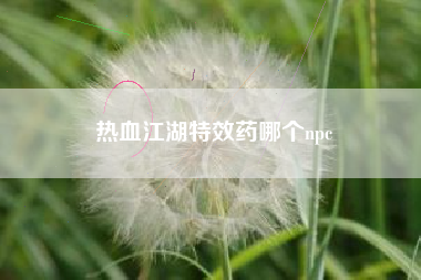 热血江湖特效药哪个npc