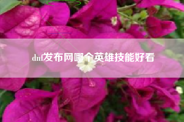 dnf发布网哪个英雄技能好看