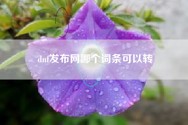 dnf发布网哪个词条可以转