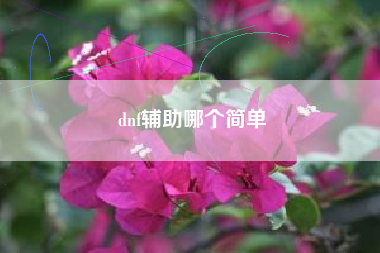 dnf辅助哪个简单