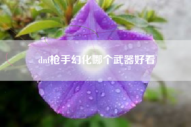 dnf枪手幻化哪个武器好看