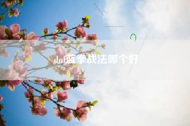 dnf蓝拳战法哪个好