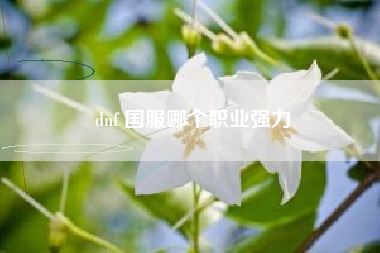 dnf 国服哪个职业强力