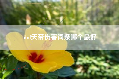 dnf天帝伤害词条哪个最好