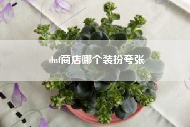 dnf商店哪个装扮夸张