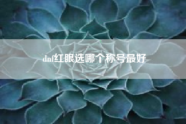 dnf红眼选哪个称号最好