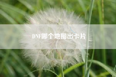 DNF哪个地图出卡片