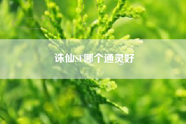 诛仙SF哪个通灵好