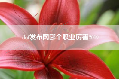 dnf发布网哪个职业厉害2019