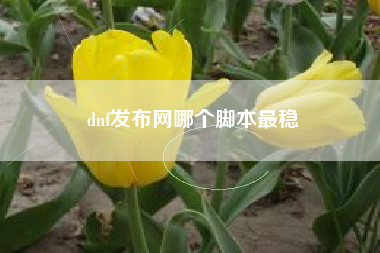 dnf发布网哪个脚本最稳