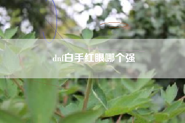 dnf白手红眼哪个强