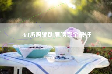 dnf奶妈辅助肩膀哪个最好