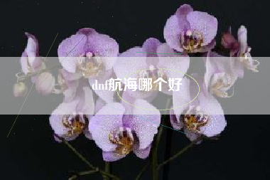 dnf航海哪个好