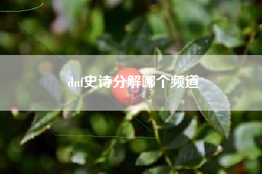 dnf史诗分解哪个频道