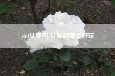 dnf女弹药 女漫游哪个好玩