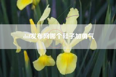 dnf发布网哪个鞋子加勇气