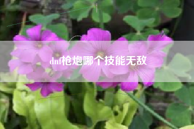 dnf枪炮哪个技能无敌