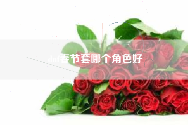 dnf春节套哪个角色好