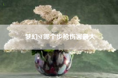 梦幻SF哪个步枪伤害最大