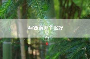 dnf西南哪个区好