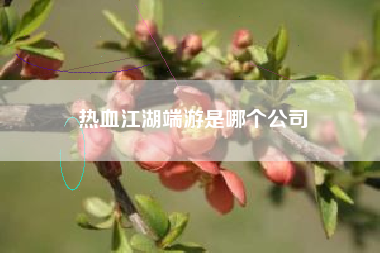 热血江湖端游是哪个公司