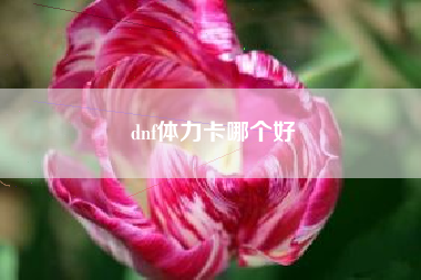 dnf体力卡哪个好