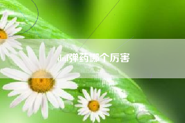 dnf弹药哪个厉害