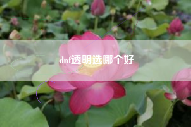 dnf透明选哪个好