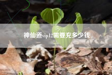 神仙道vip12需要充多少钱