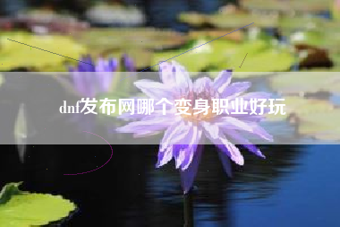 dnf发布网哪个变身职业好玩